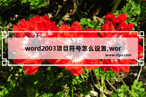 word2003项目符号怎么设置,word2003文字颜色怎么设定