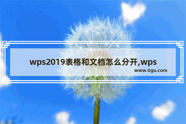 wps2019表格和文档怎么分开,wpsword与excel合并