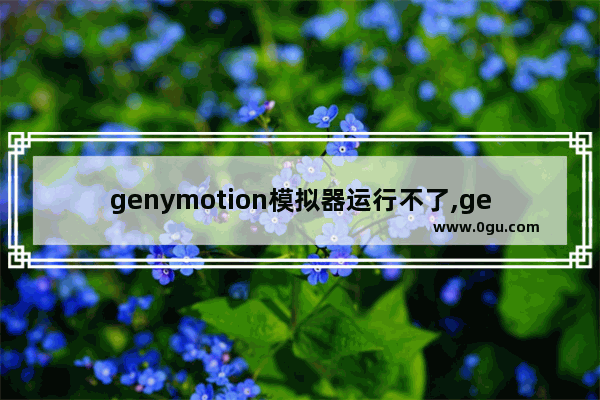 genymotion模拟器运行不了,genymotion无法登录