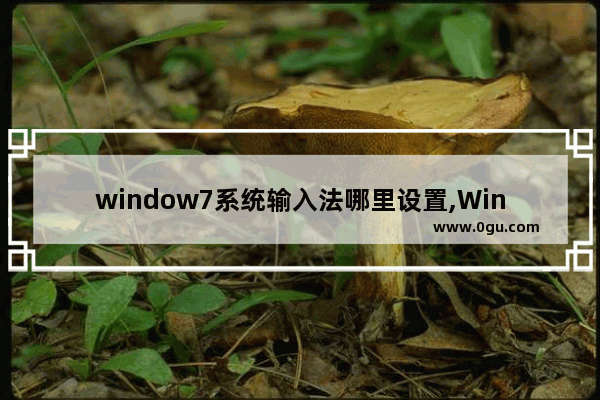 window7系统输入法哪里设置,Windows七自带的输入法