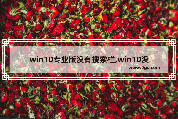 win10专业版没有搜索栏,win10没有搜索功能