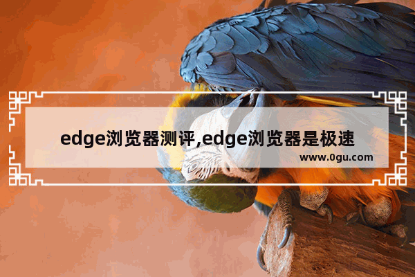 edge浏览器测评,edge浏览器是极速浏览器吗