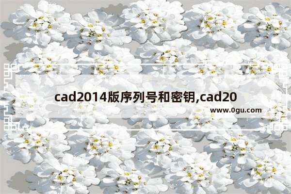 cad2014版序列号和密钥,cad2017版序列号及密钥