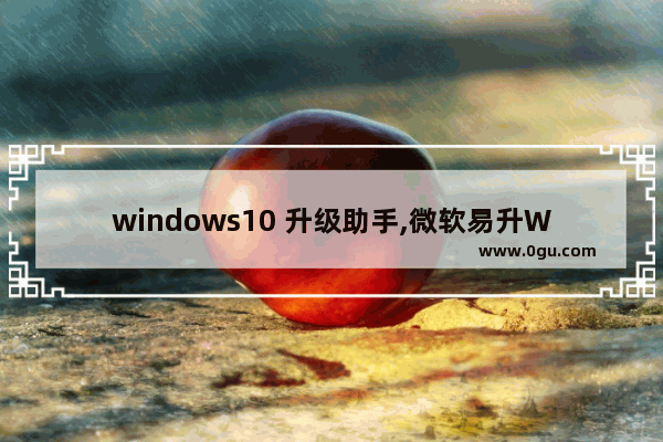 windows10 升级助手,微软易升Win10升级助手