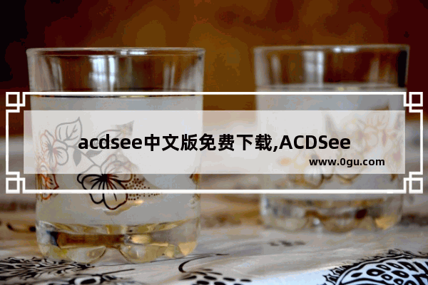 acdsee中文版免费下载,ACDSee 5.0 1