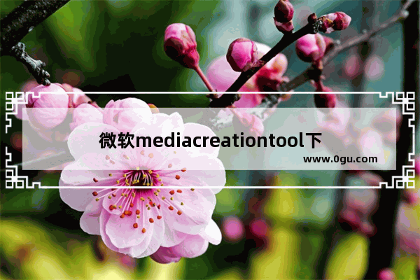 微软mediacreationtool下载,windows media creation tool下载