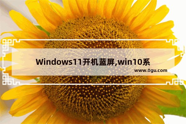 Windows11开机蓝屏,win10系统开机蓝屏