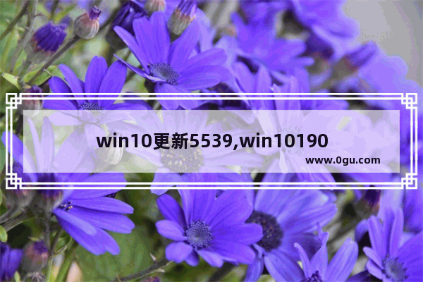 win10更新5539,win101903更新