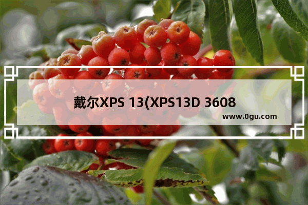 戴尔XPS 13(XPS13D 3608),