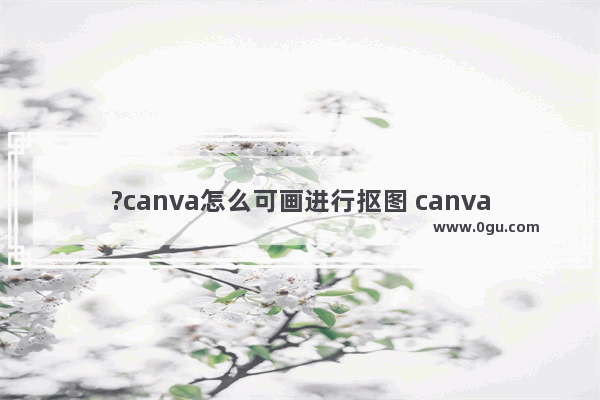 ?canva怎么可画进行抠图 canva电脑版抠图的方法教程