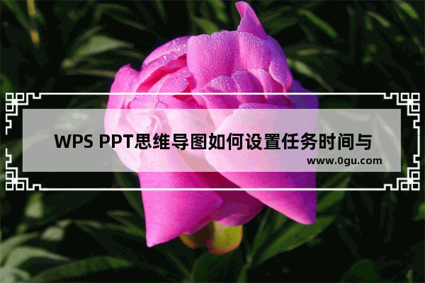 WPS PPT思维导图如何设置任务时间与负责人 WPS PPT思维导图设置任务时间与负责人方法