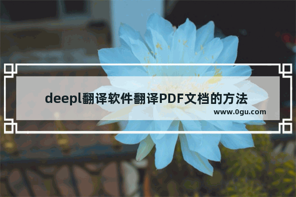 deepl翻译软件翻译PDF文档的方法 deepl翻译软件怎么翻译PDF文档