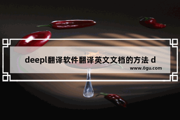 deepl翻译软件翻译英文文档的方法 deepl翻译软件怎么翻译英文文档