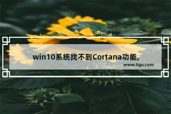 win10系统找不到Cortana功能,win10cortana无法使用