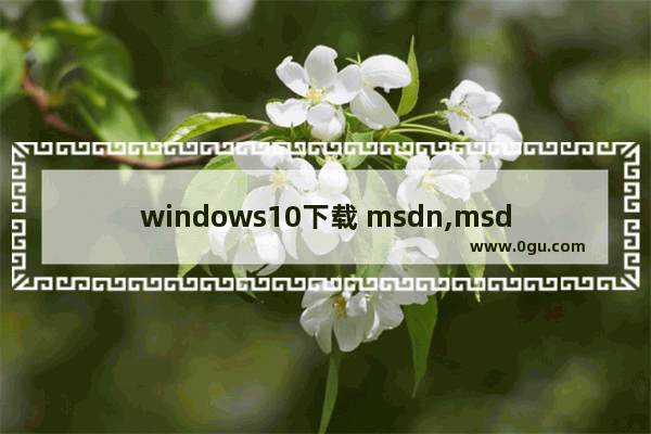 windows10下载 msdn,msdnwin10最新版