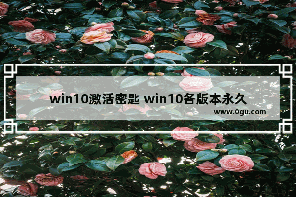 win10激活密匙 win10各版本永久激活,win10激活码key