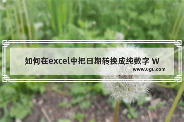 如何在excel中把日期转换成纯数字 WPS excel中把日期转换成纯数字的方法