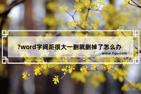 ?word字间距很大一删就删掉了怎么办 word文字中间的间距过大的清除方法