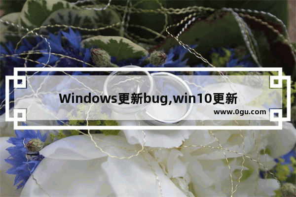 Windows更新bug,win10更新出现bug