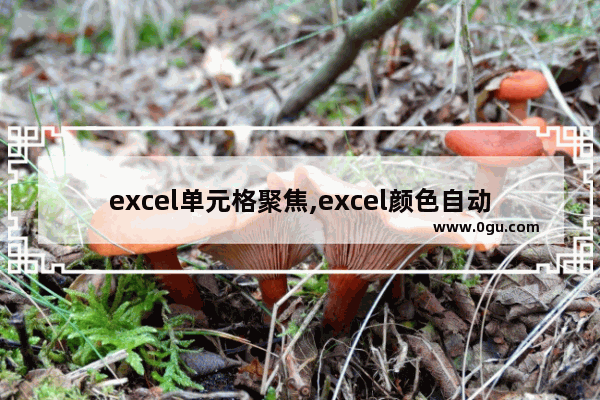 excel单元格聚焦,excel颜色自动聚焦