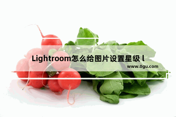 Lightroom怎么给图片设置星级 lightroom给图片设置星级的方法