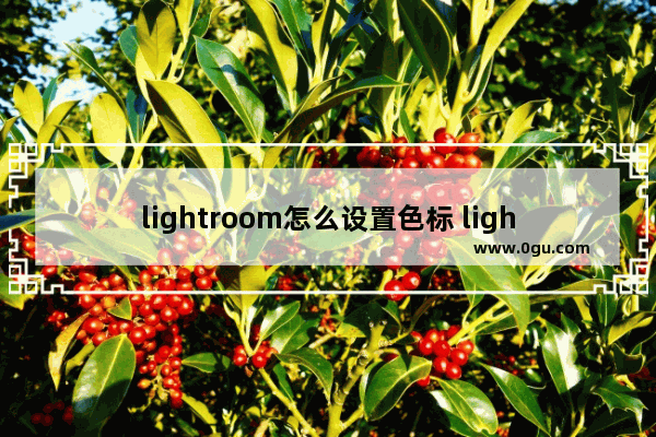 lightroom怎么设置色标 lightroom给图片设置色标的方法