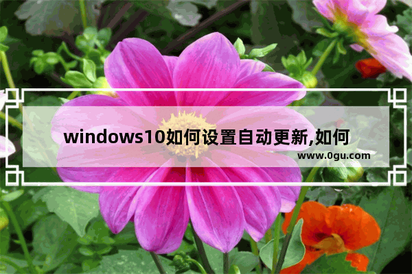 windows10如何设置自动更新,如何设置Windows10操作系统自动更新