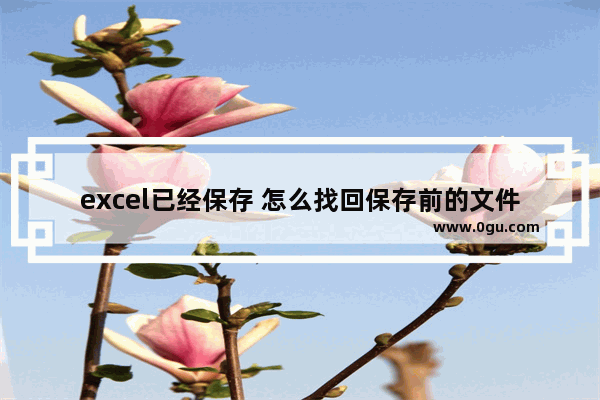 excel已经保存 怎么找回保存前的文件,excel怎么打开之前保存的文件