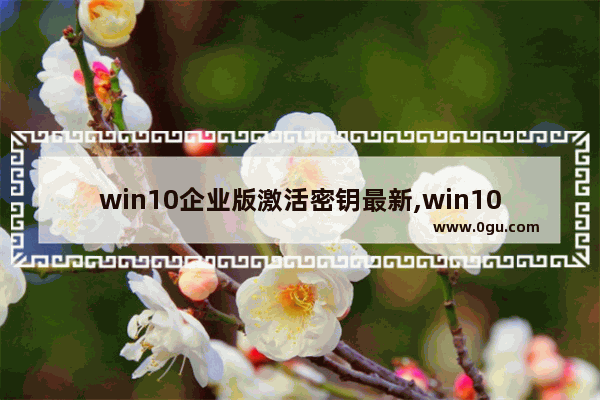 win10企业版激活密钥最新,win10企业版2019长期服务版永久激活密钥 1