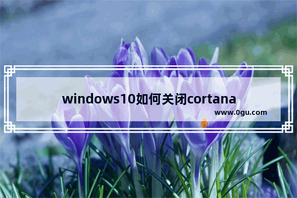 windows10如何关闭cortana,windows10怎么关闭cortana 1