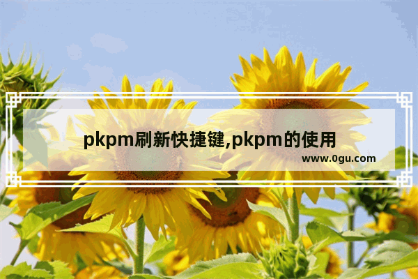 pkpm刷新快捷键,pkpm的使用