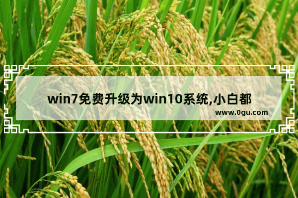 win7免费升级为win10系统,小白都能学会,学后受益,windows7怎么直接升级win10