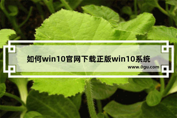 如何win10官网下载正版win10系统,Win10正式版下载