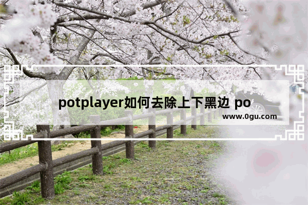 potplayer如何去除上下黑边 potplayer隐藏播放页面上下黑边的方法