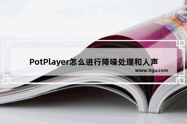 PotPlayer怎么进行降噪处理和人声增强 potplayer去除降噪提高人声的方法