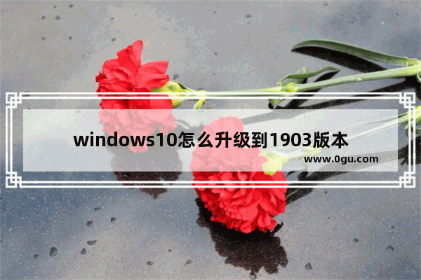 windows10怎么升级到1903版本,win101809怎么升级到1903