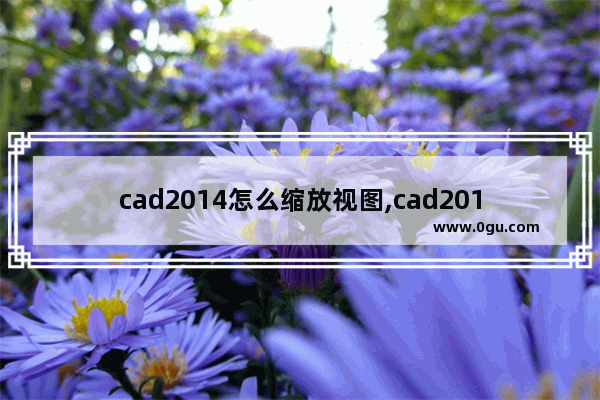 cad2014怎么缩放视图,cad2015视图缩放