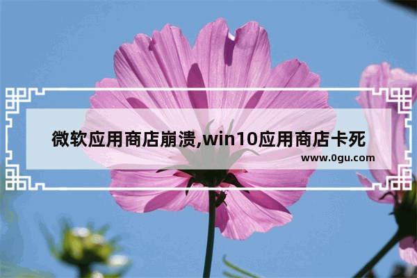 微软应用商店崩溃,win10应用商店卡死