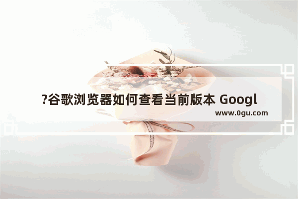 ?谷歌浏览器如何查看当前版本 Google Chrome电脑版查看版本号的方法教程