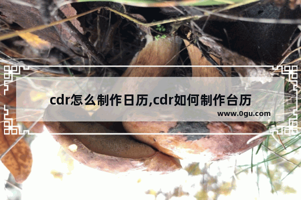 cdr怎么制作日历,cdr如何制作台历