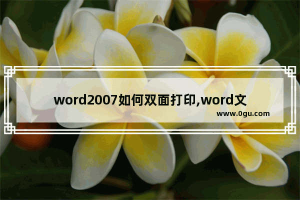 word2007如何双面打印,word文档设置双面打印的方法步骤