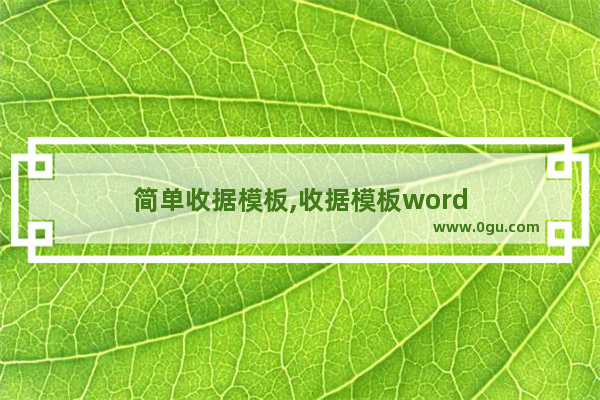 简单收据模板,收据模板word