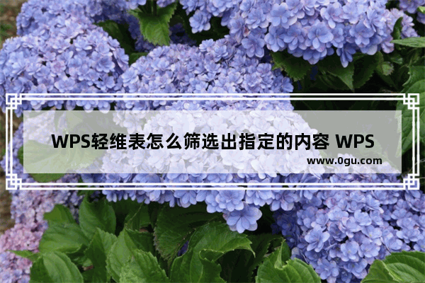 WPS轻维表怎么筛选出指定的内容 WPS轻维表筛选出指定的内容的方法