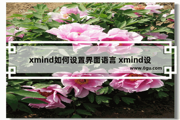 xmind如何设置界面语言 xmind设置界面语言的方法