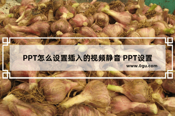 PPT怎么设置插入的视频静音 PPT设置插入的视频静音的方法