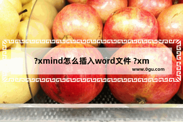 ?xmind怎么插入word文件 ?xmind插入word文件的方法