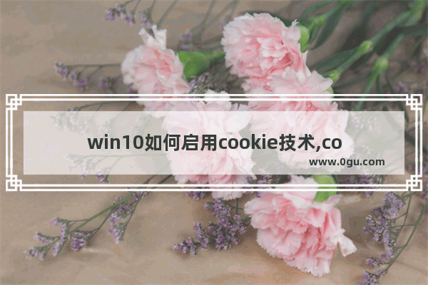 win10如何启用cookie技术,cookie功能被禁用怎么开启