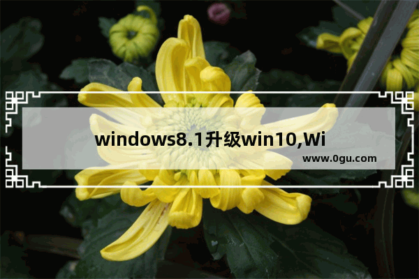 windows8.1升级win10,Windows8.1更新