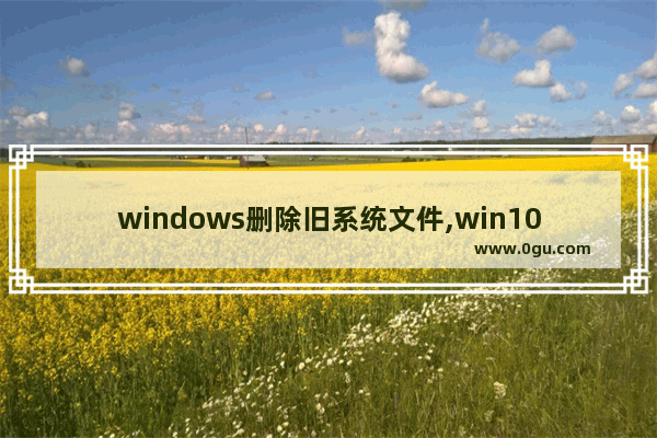 windows删除旧系统文件,win10系统文件清理