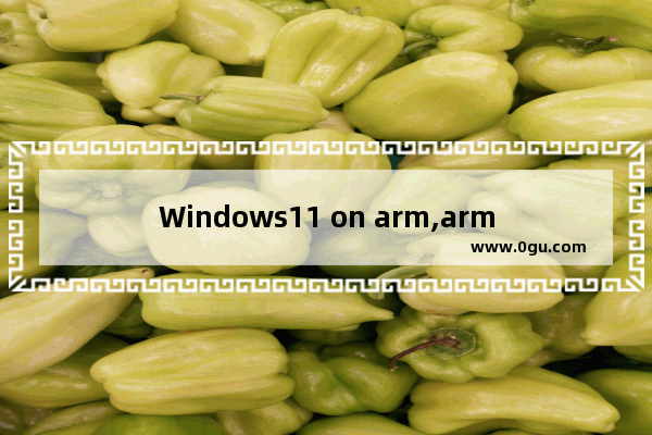 Windows11 on arm,arm使用的各种工作模式和工作状态